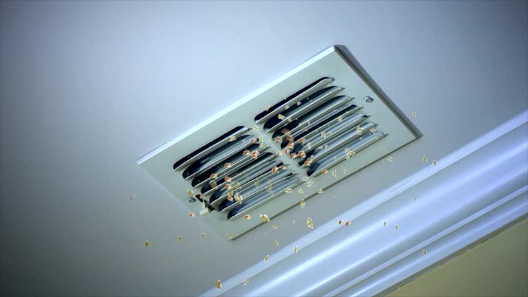 Best Air Duct Inspection  in Matoaca, VA
